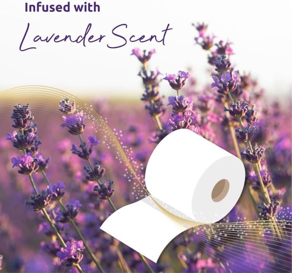 12 Phoenix Soft Lavender Fragranced Luxury Toilet Rolls Bulk Buy – Quilted White 3 Ply Toilet Paper – Pack of 12 Toilet Tissue (60 Quilted Rolls) - Image 2