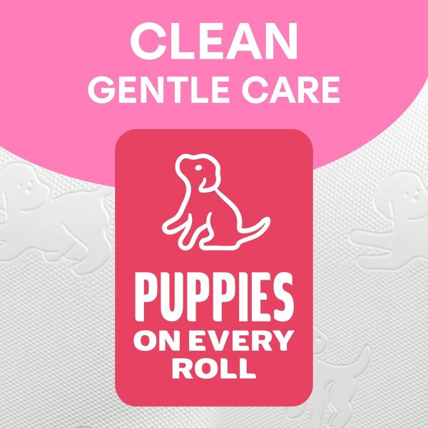 Andrex Family Soft Toilet Paper 24 Rolls (Previously Andrex Gentle Clean) Gentle on your Family’s skin– Pack of 24 Toilet Rolls, FSC Certified - Image 4